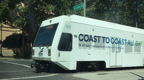 The Real Life “Crossy Road” Experience