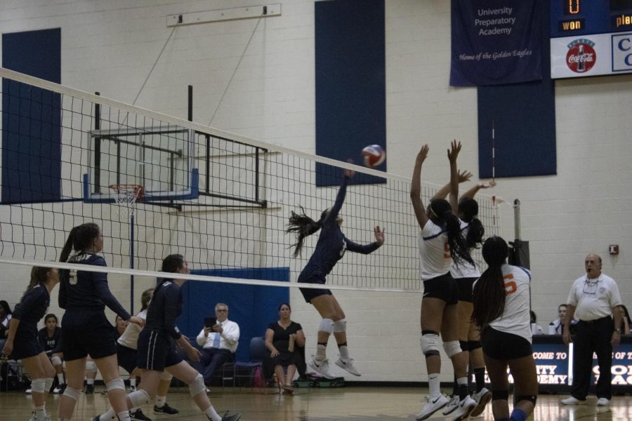 Eagles Serve the Knights